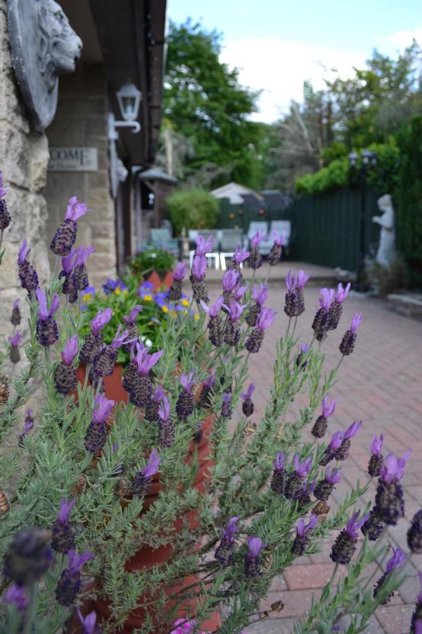 Castle Green Bed And Breakfast Ашборн Экстерьер фото